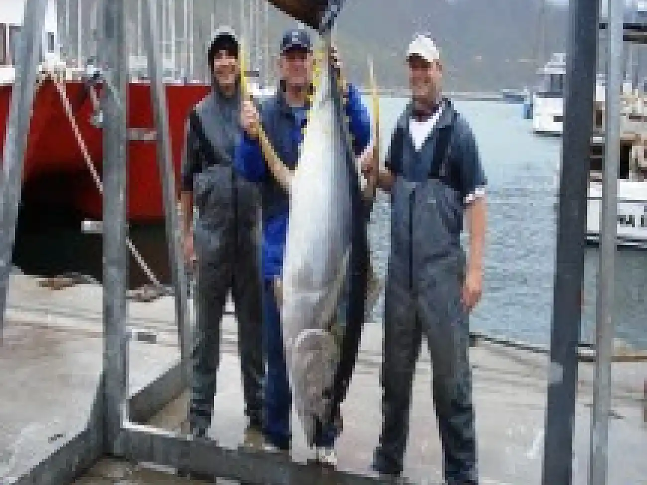 Fishing in False Bay
