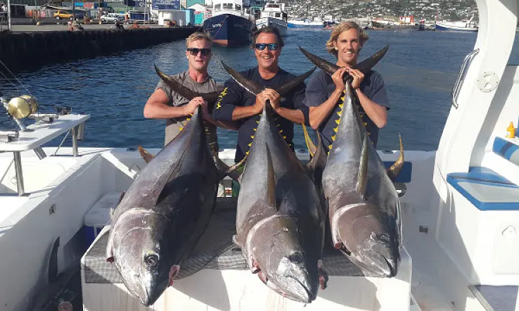 Three anglers proudly displaying their catch of three large tunas after a successful fishing trip.