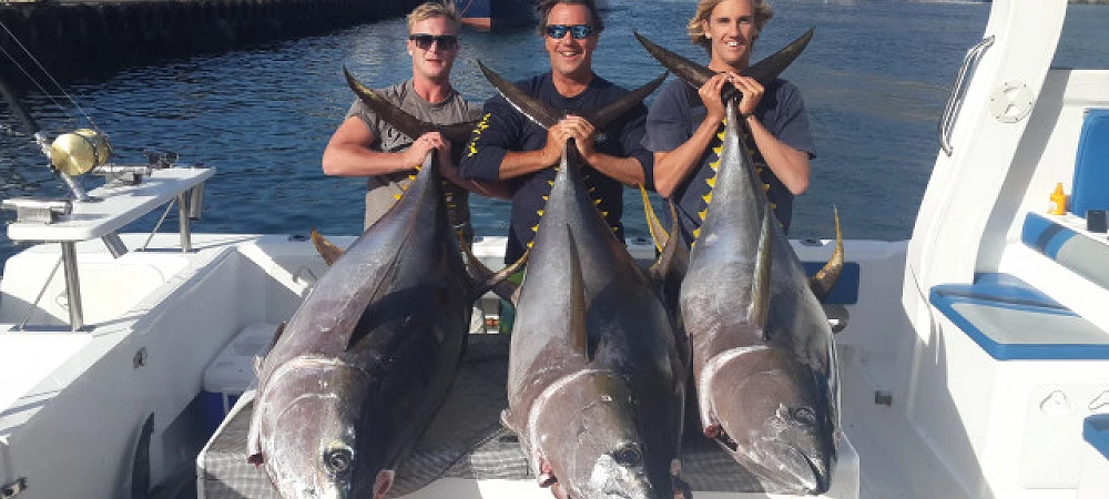 Three anglers proudly displaying their catch of three large tunas after a successful fishing trip.
