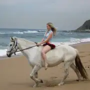 Beach Horse Rides
