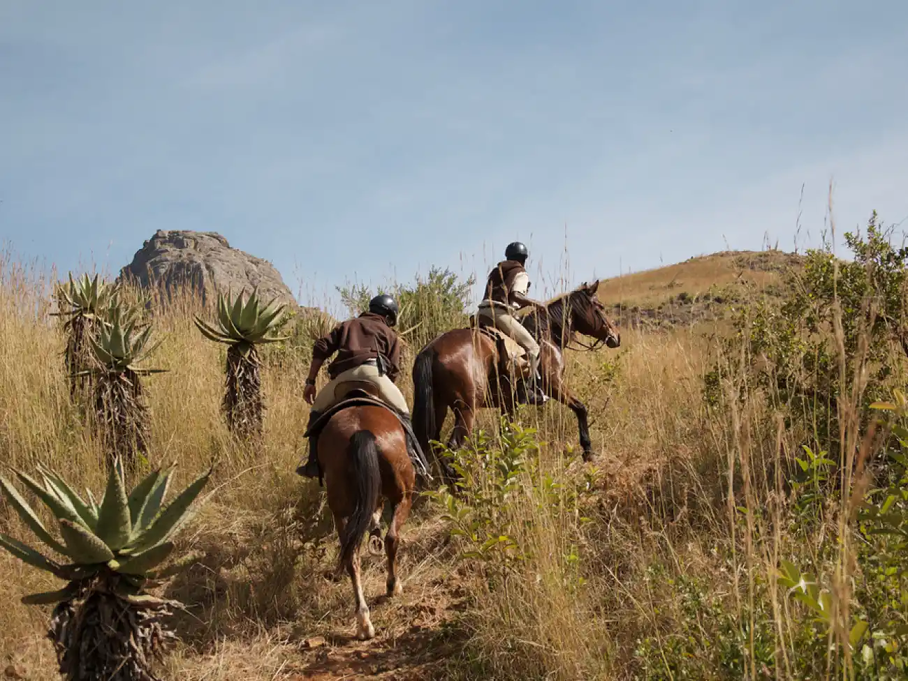 Horse Riding at Mlilwane Wildlife Sanctuary