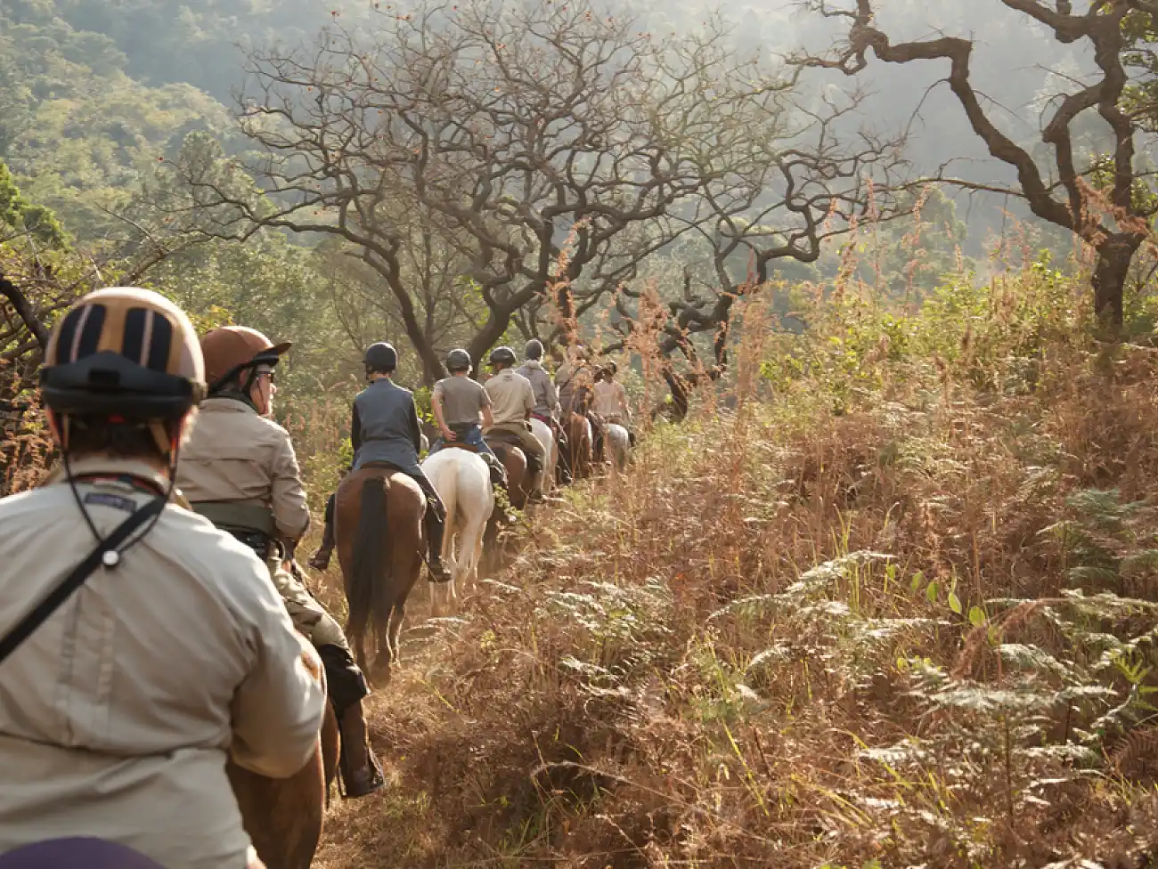 Horse Riding in Swaziland