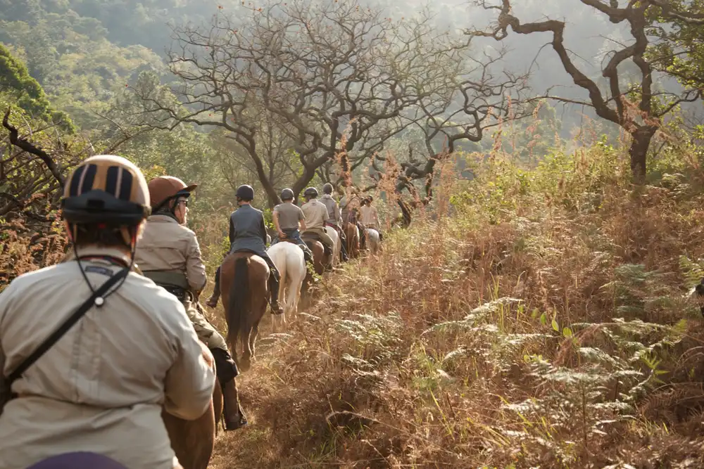 Horse Riding