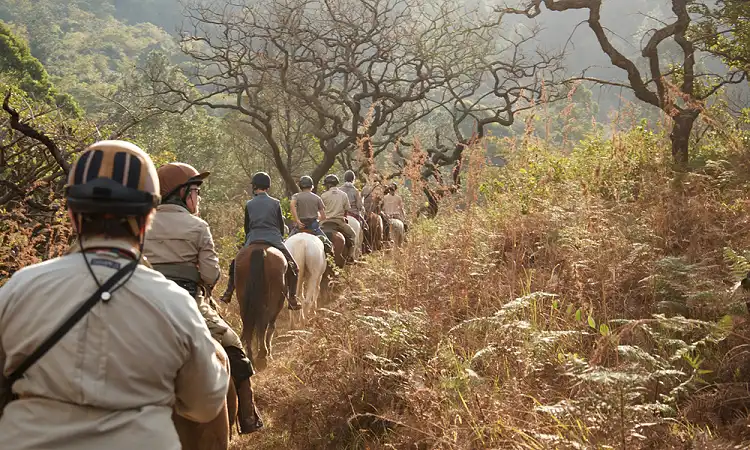 Chubeka Trails - Horse Riding