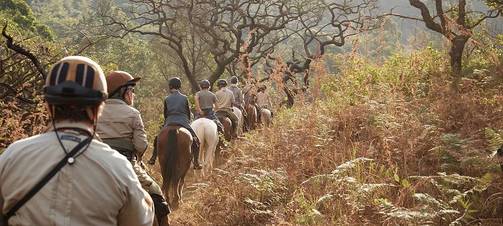 Chubeka Trails - Horse Riding