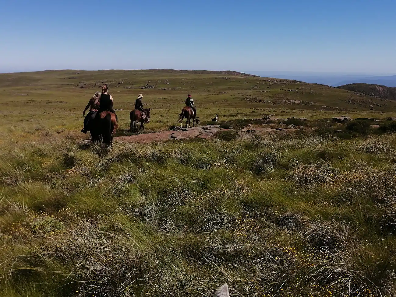 Horse Riding in Hogsback
