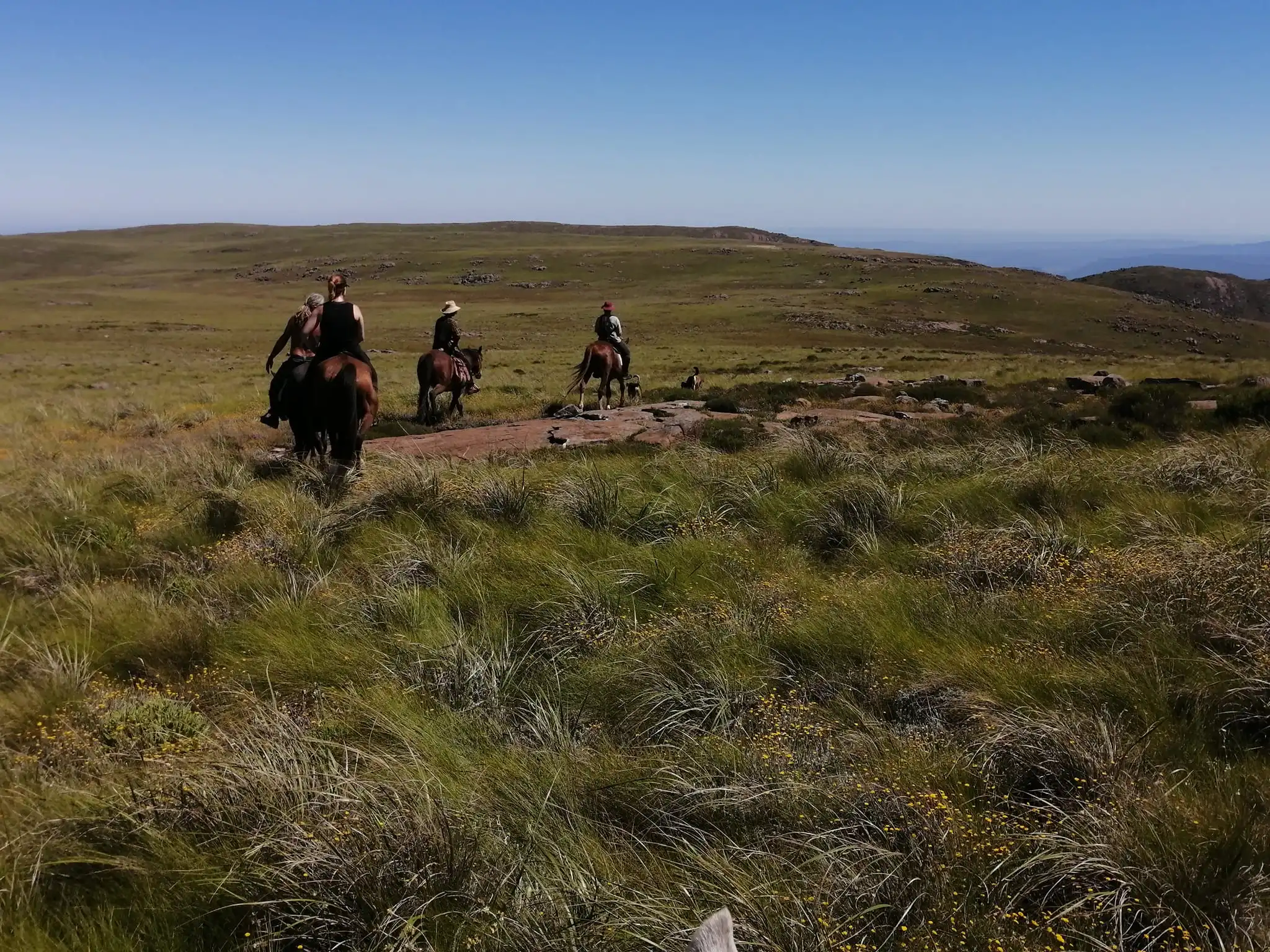 Horse Riding