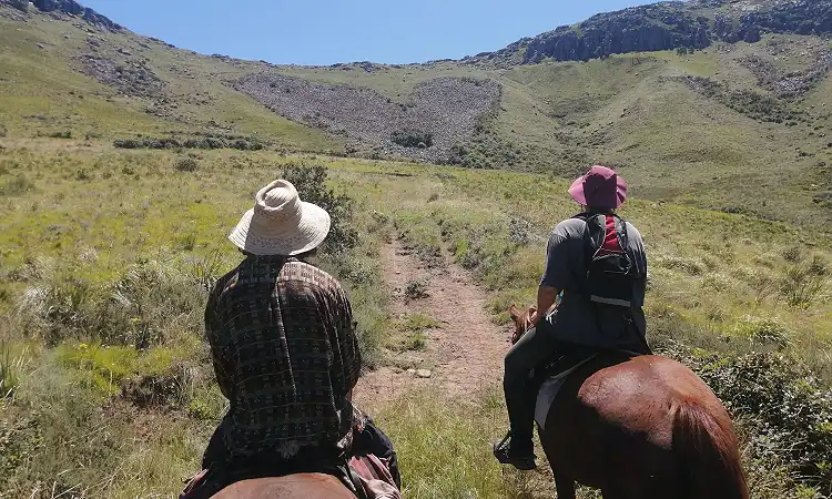 Hogsback Adventures - Horse Riding