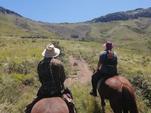 Hogsback Adventures - Horse Riding