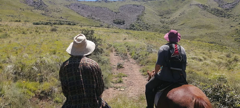 Hogsback Adventures - Horse Riding