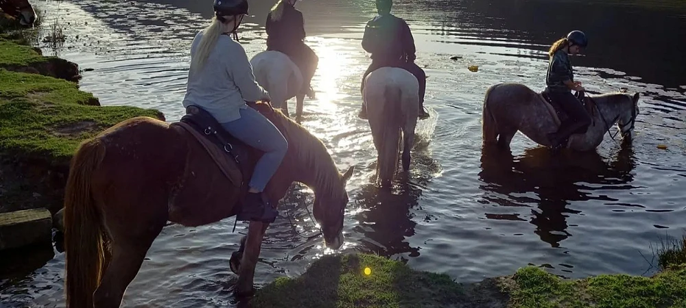 Kurland Park Horse Trails - Horse Riding