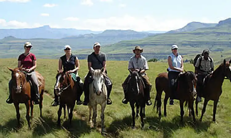 The Northern Horse - Horse Riding