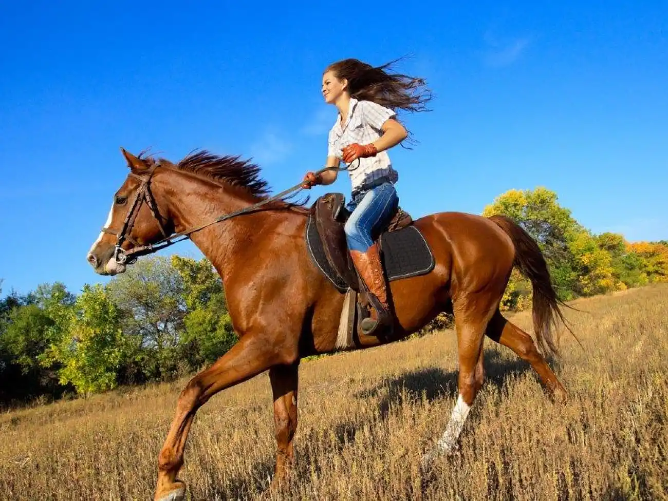 Horse Riding in the North West