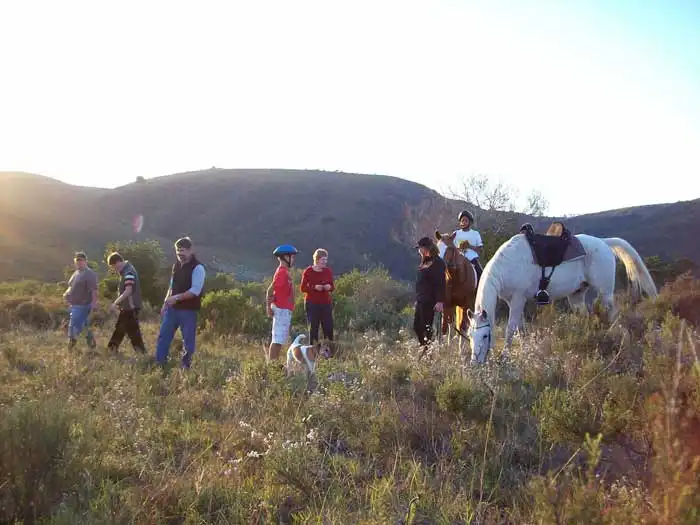Horse Riding