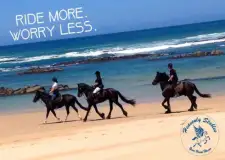 Horse Riding