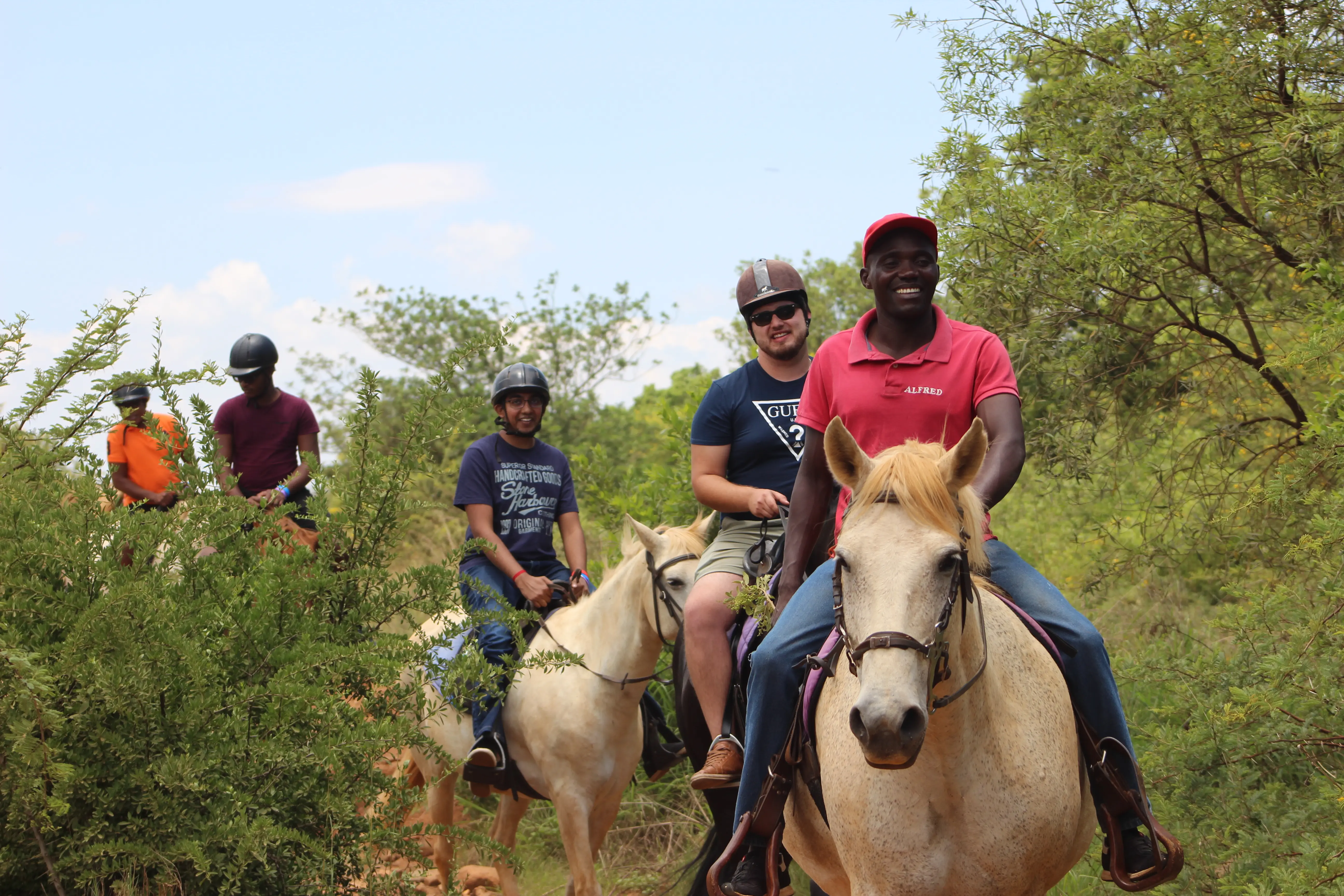 Horse Riding