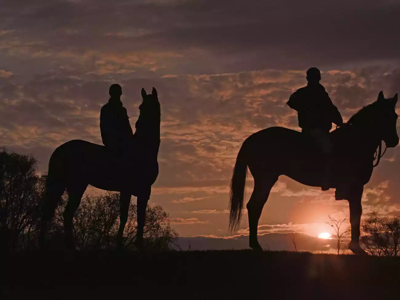 Horse Riding in Winterton