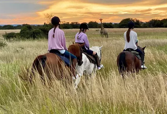 Horse Safaris