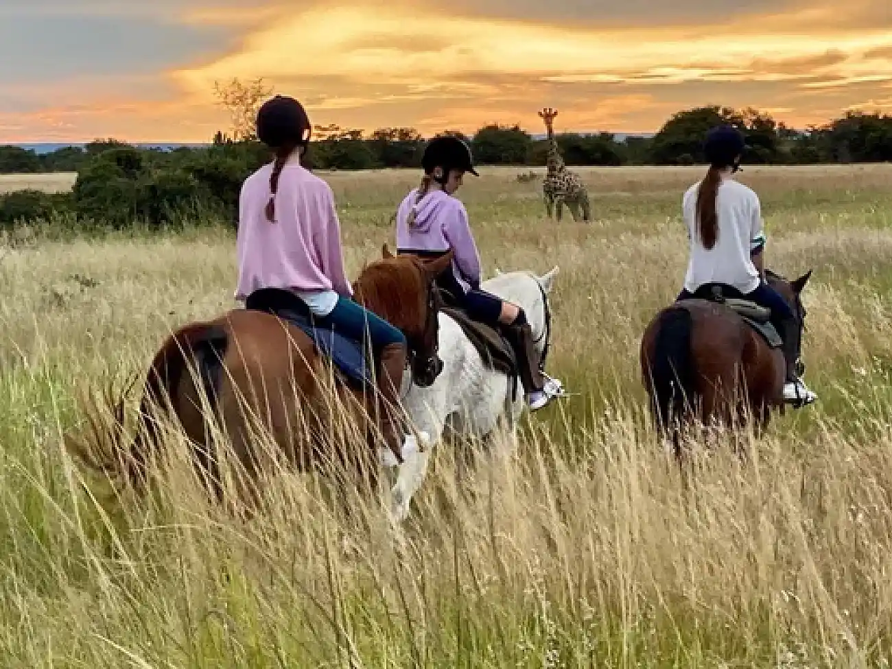 Horse Safaris in Vaalwater