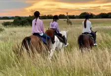 Horse Safaris