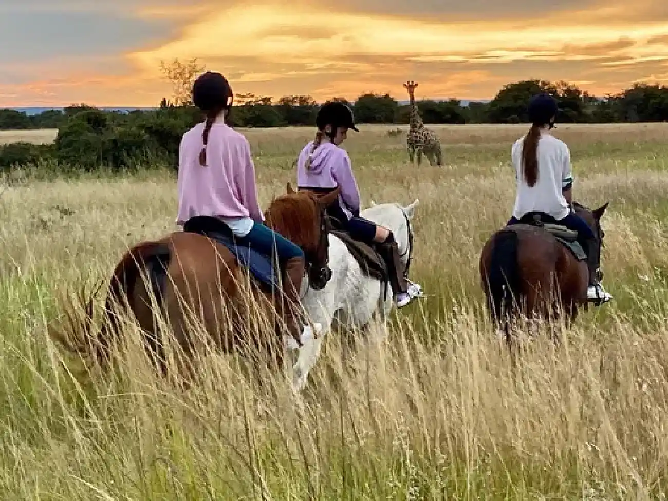 Horse Safaris in Vaalwater