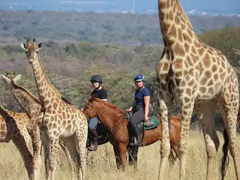 Waterberg Horse Trails - Horse Safaris