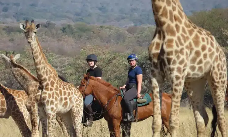 Waterberg Horse Trails - Horse Safaris