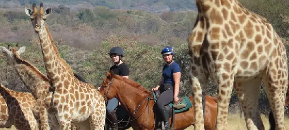 Waterberg Horse Trails - Horse Safaris