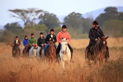 Chubeka Trails - Horse Safaris