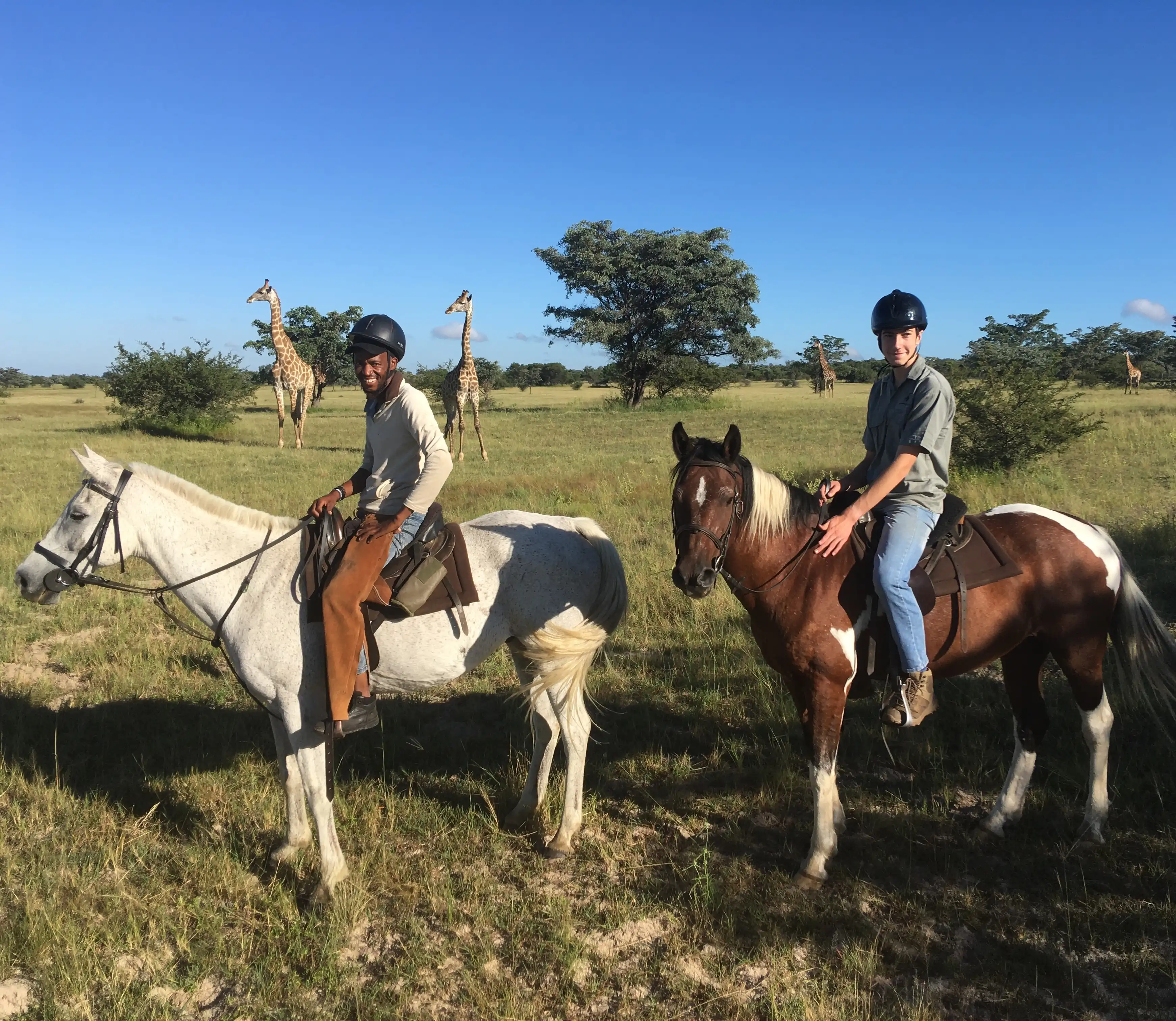 Horse Safaris