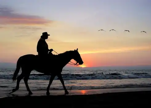 Beach Horse Rides