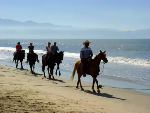 Heavenly Stables - Beach Horse Rides