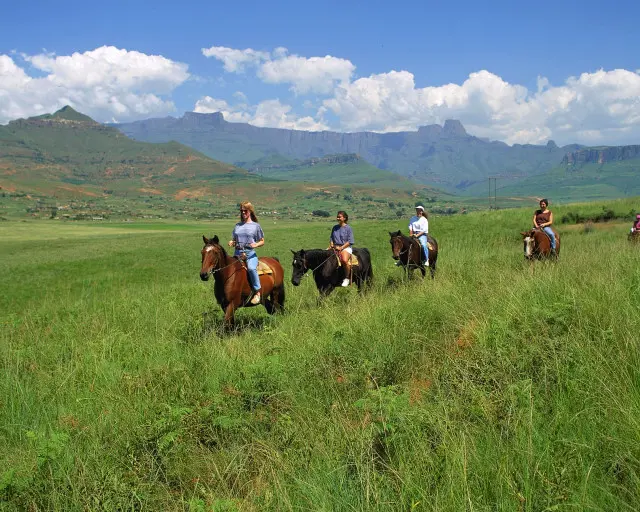 Horse Riding