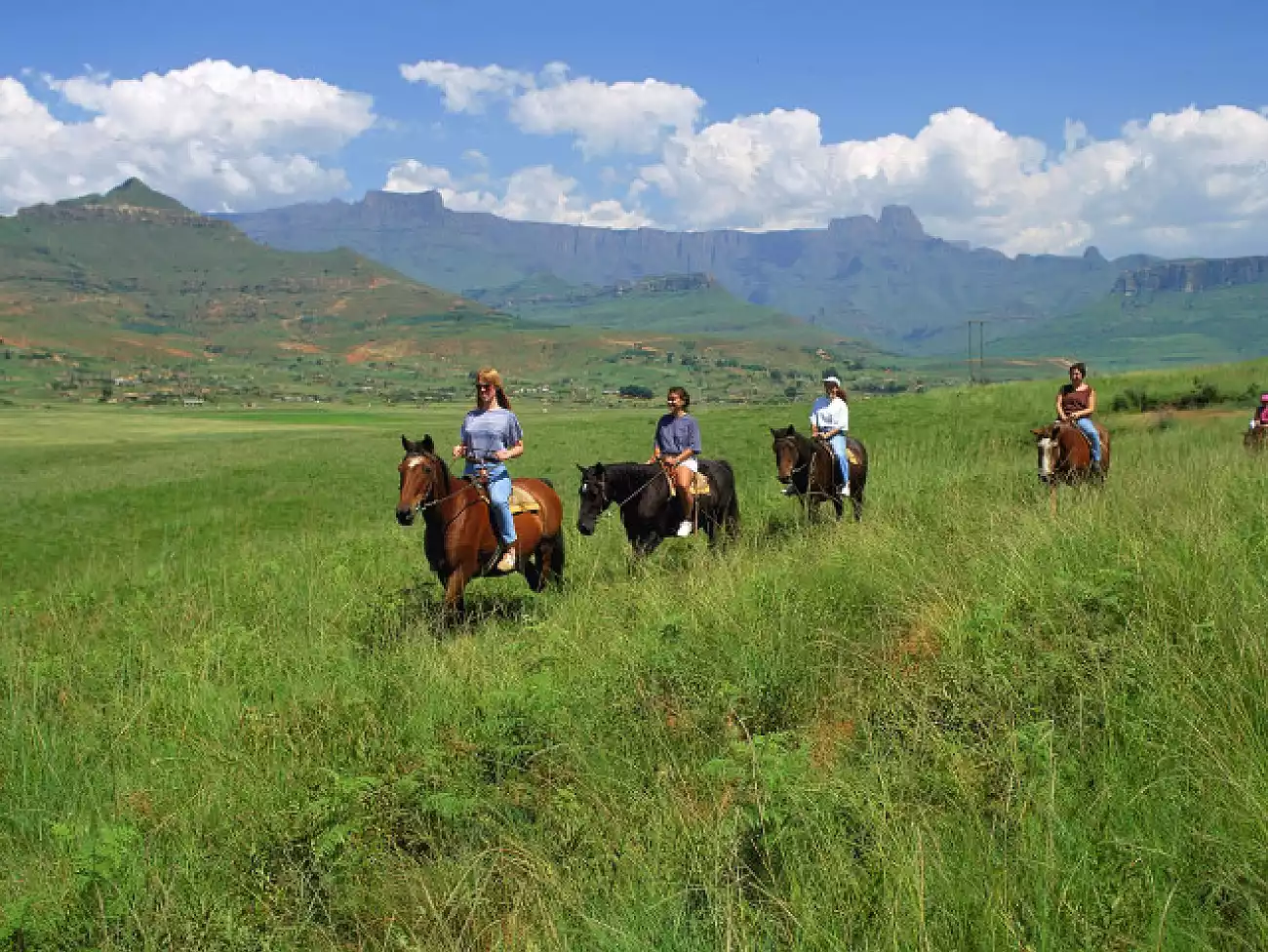 Horse Riding in the Cape Winelands, South Africa