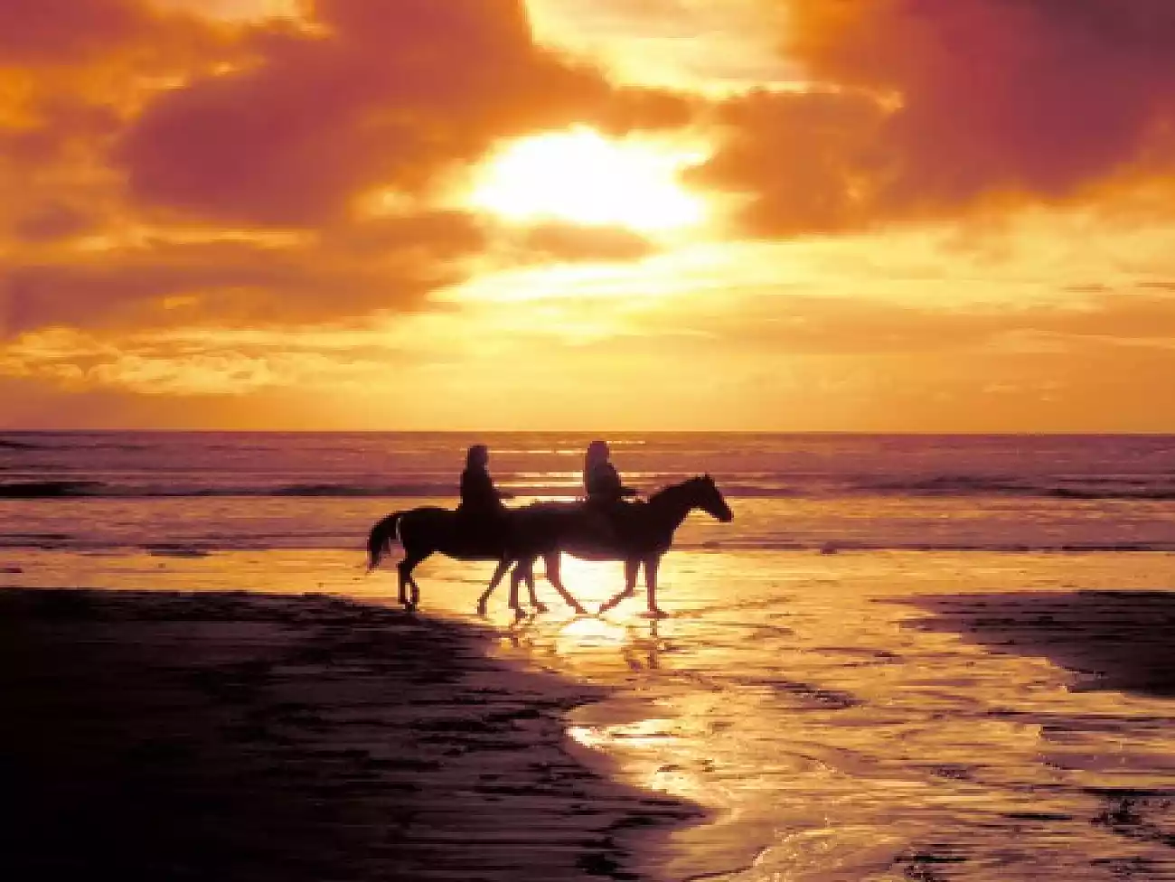 Horse Riding in Jeffreys Bay 