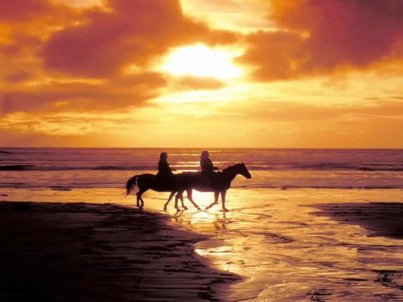 Horse Riding in Jeffreys Bay 