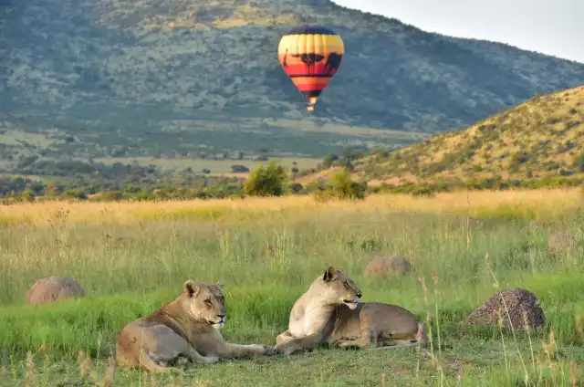 Hot-Air Balloon rides