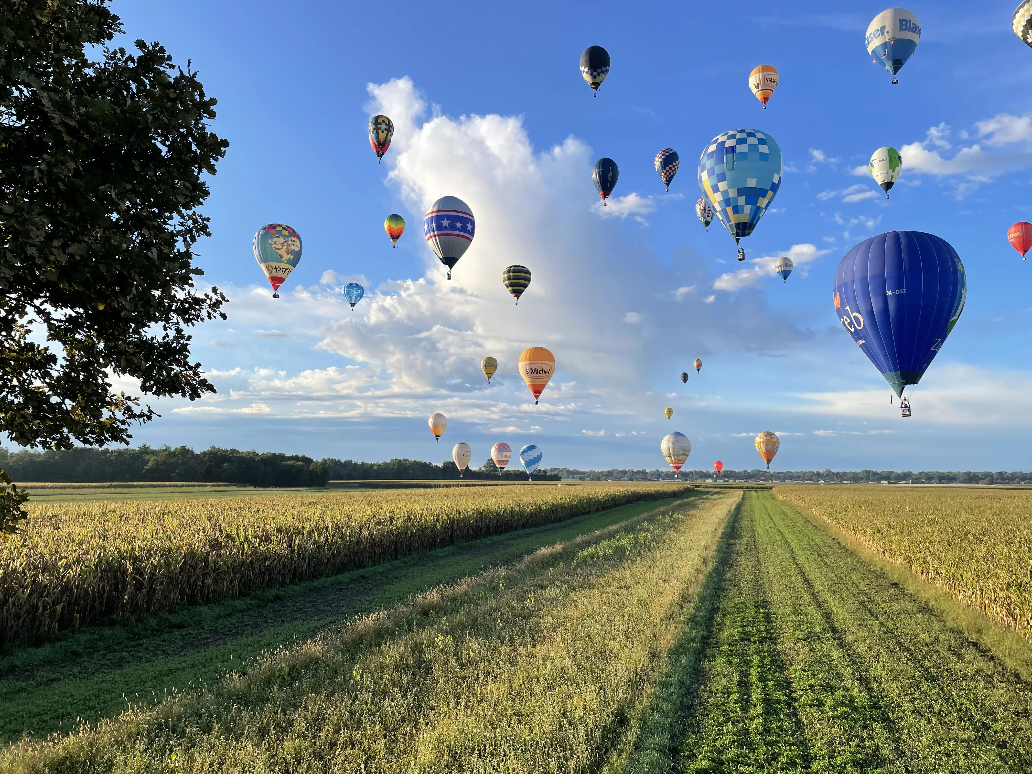 Learn to fly a Hot Air Balloon with BTS