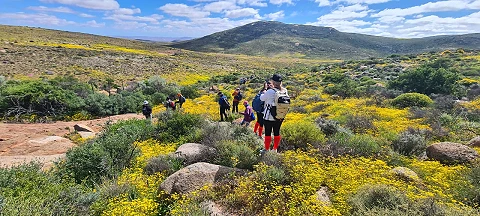 3 Day Namakwa Flower Hike - Northern Cape