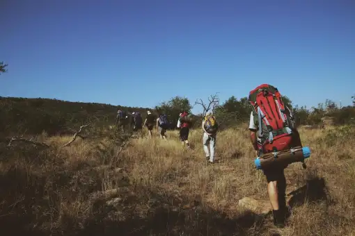 Ezemvelo KZN - iMfolozi Wilderness Trails (DIB 001)