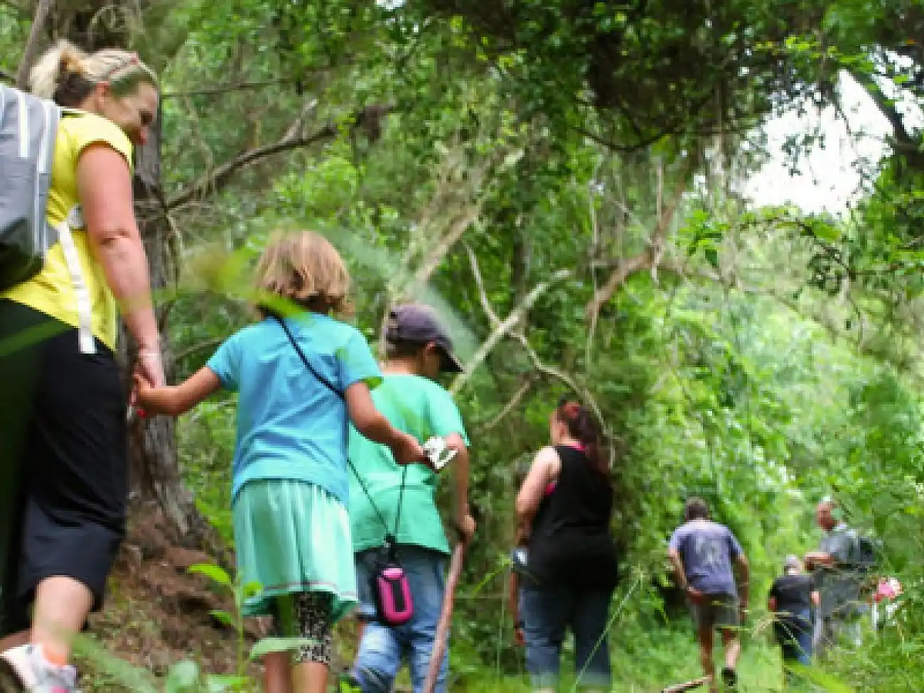 Guided Hiking in Plettenberg Bay