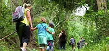 Guided Hiking