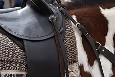 Horse Riding