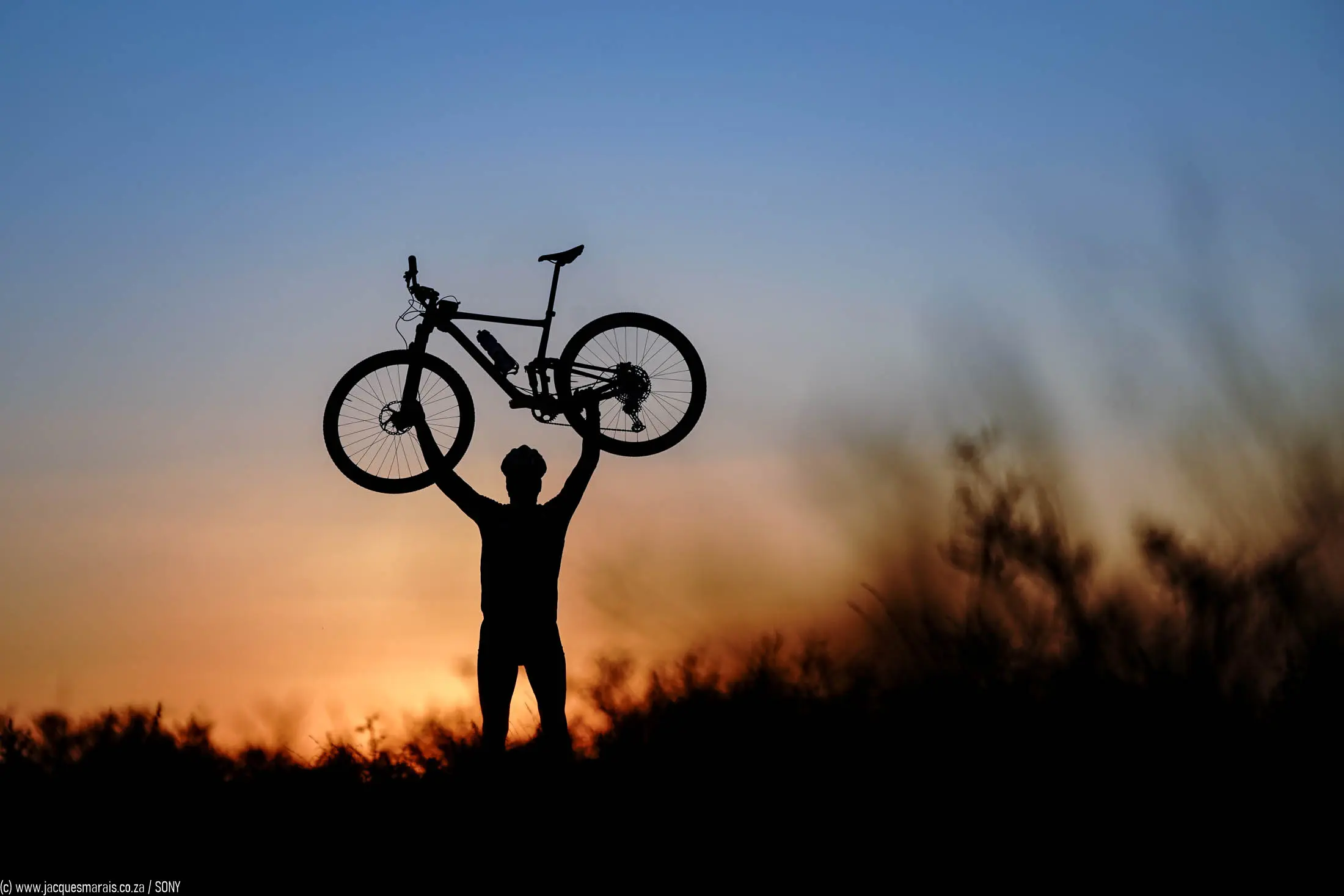 Mountain Biking