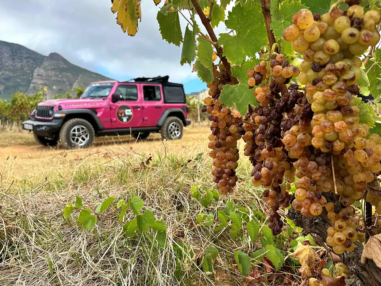 Jeep Experience on the Atlantic Seaboard