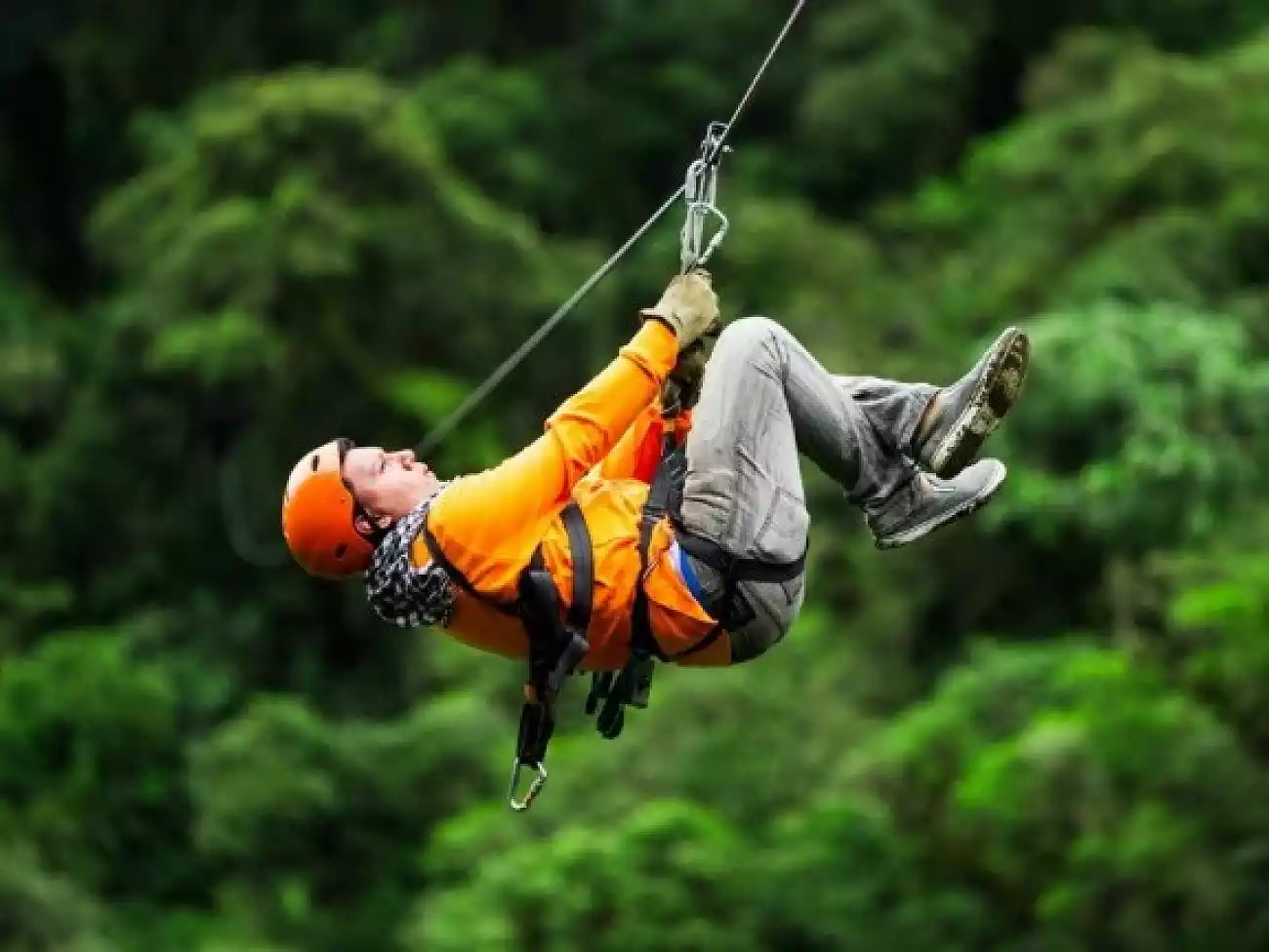 Canopy Tours in Johannesburg