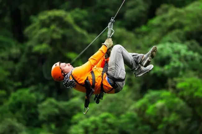 Canopy Tours