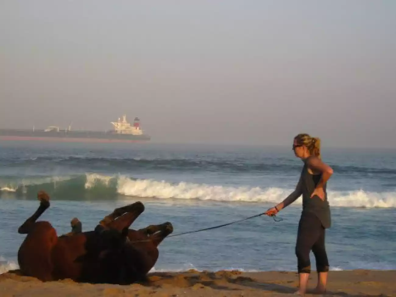 Swimming with Horses on the KwaZulu-Natal North Coast