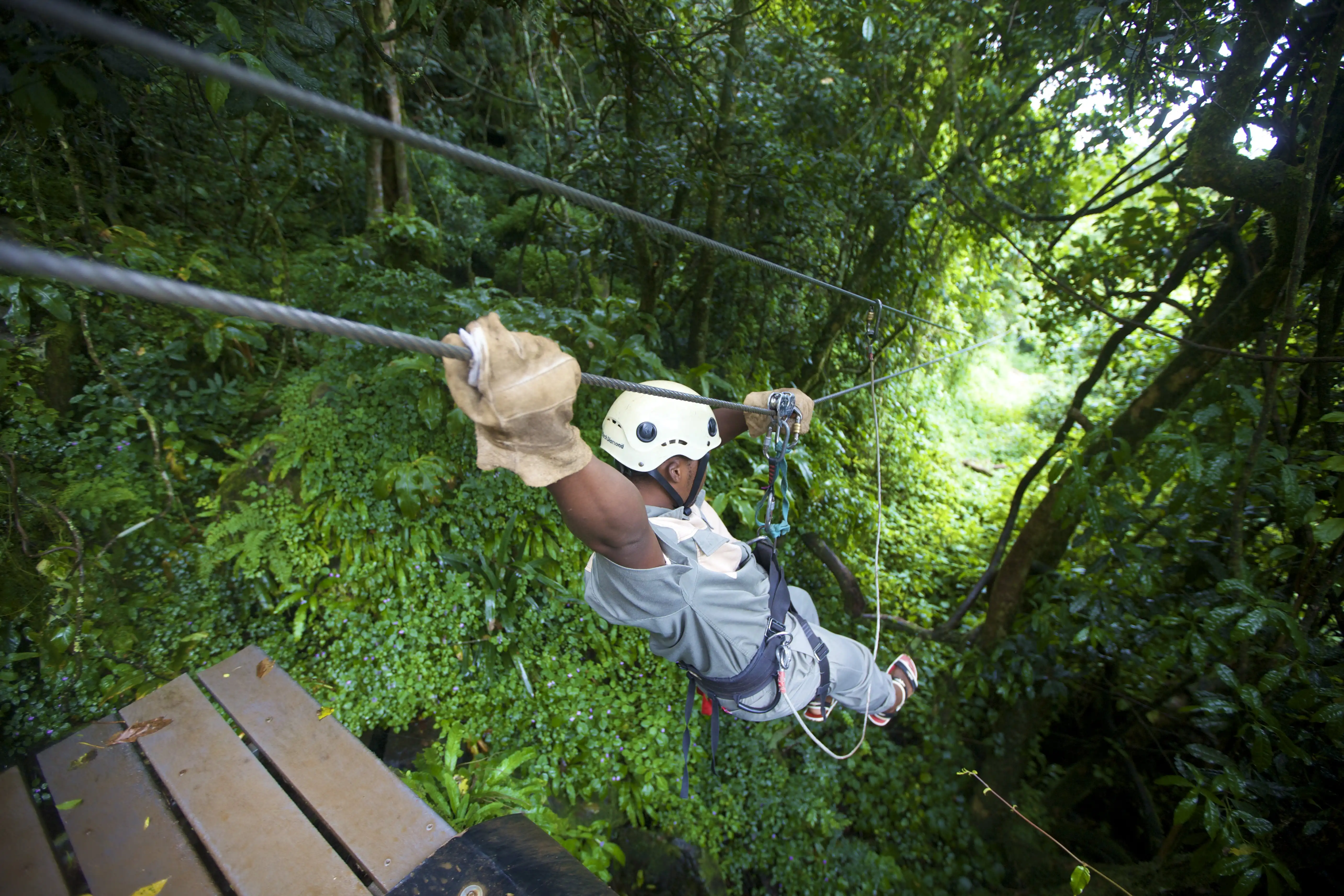 Canopy Tours