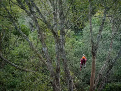 Karkloof Canopy Tours